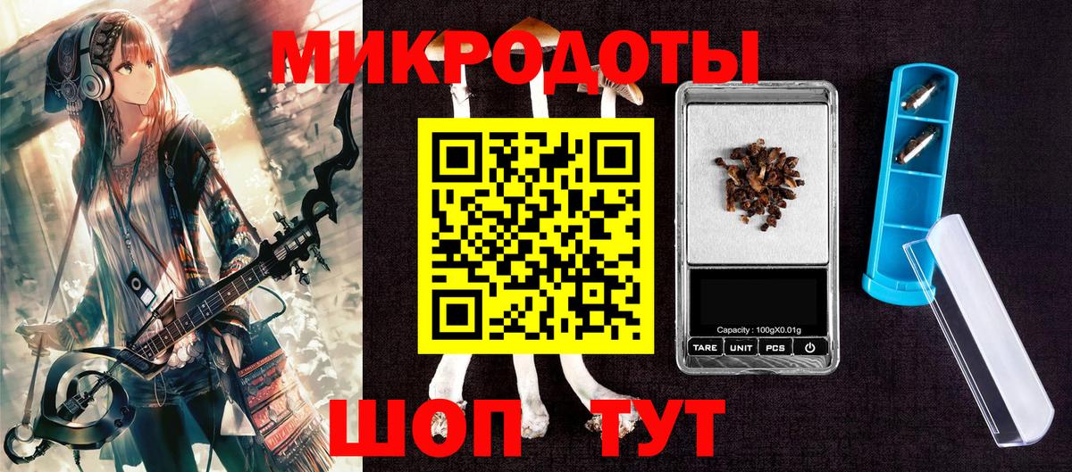 Выборг  Галлюциногенные грибы Psilocybine cubensis  Вход с VPN 